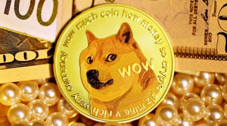 How Much Does a Shiba Inu Cost