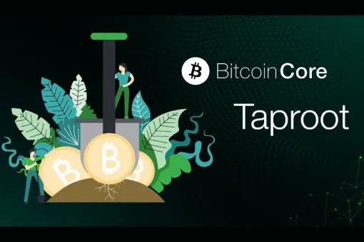 Bitcoin Core Developers Optimistic Despite Low Taproot Adoption