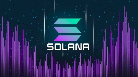 Analysis Of The Dynamics Of The Solana Coin (Sol)