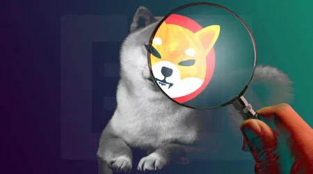 Shiba Inu Developers Unveiled The Name Of The Themed NFT Game