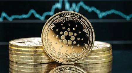 The Head Of Cardano Spoke About The Profitability Of ADA