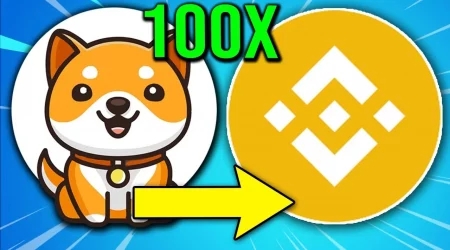 Cryptocurrency BabyDoge May Appear On The Binance Exchange