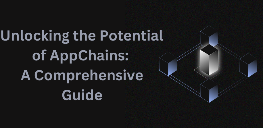 Unlocking the Potential of AppChains